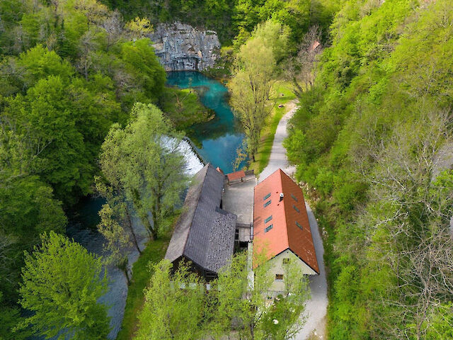 Gospod Hlupar