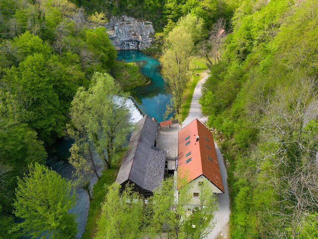 Gospod Hlupar